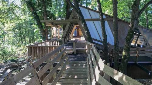 A wooden walkway leads to a modern treehouse nestled among trees, featuring large windows and a unique architectural design.