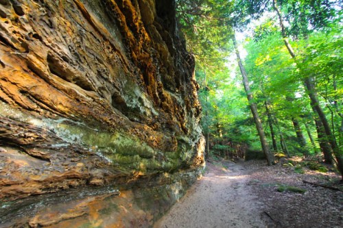 A rocky cliffside with textured layers beside a sandy path, surrounded by lush green trees in a forested area.