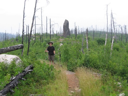 A person stands on a trail surrounded by green vegetation and charred trees, with a large rock formation in the background.