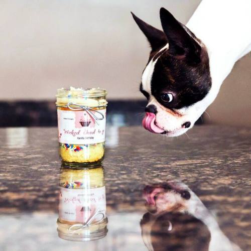 A dog curiously licks its lips while looking at a jar of colorful treats on a shiny countertop.