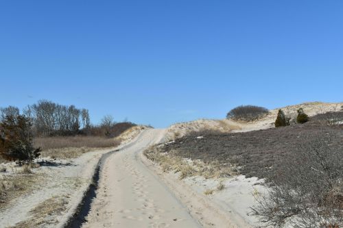 A sandy path winds through a landscape of dunes and sparse vegetation under a clear blue sky.