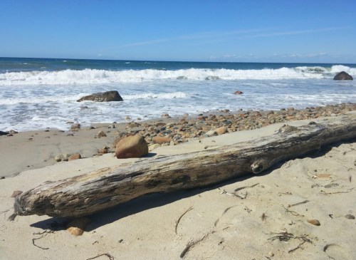 A sandy beach with a weathered log, pebbles, and gentle waves under a clear blue sky.