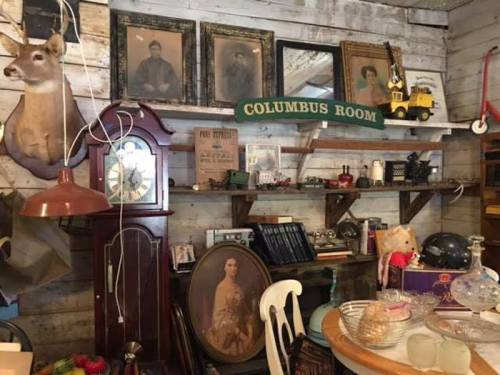 A cozy antique shop display featuring vintage photos, a clock, a deer mount, and various collectibles on wooden shelves.