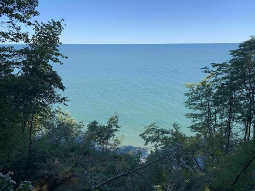 A serene view of a calm lake surrounded by trees under a clear blue sky.