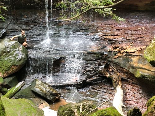 A person sits on a rock near a small waterfall in a lush, green forest setting.