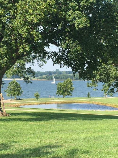 A serene lake view with a sailboat in the distance, framed by trees and lush green grass.