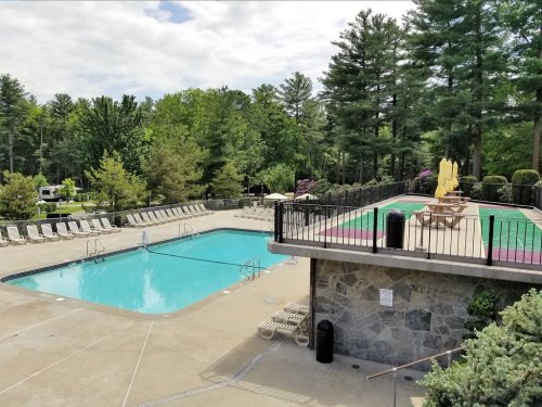 A serene outdoor pool area surrounded by trees, with lounge chairs and a deck featuring yellow umbrellas.