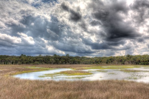 A serene wetland landscape with tall grasses, a winding waterway, and dramatic clouds overhead.