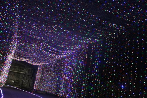 A colorful display of twinkling lights drapes across a dark tunnel, creating a festive atmosphere.