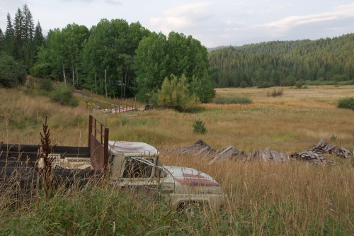 An old truck sits in a grassy field, surrounded by trees and mountains under a cloudy sky.