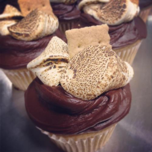 Close-up of a cupcake topped with chocolate frosting, toasted marshmallow, and a graham cracker piece.