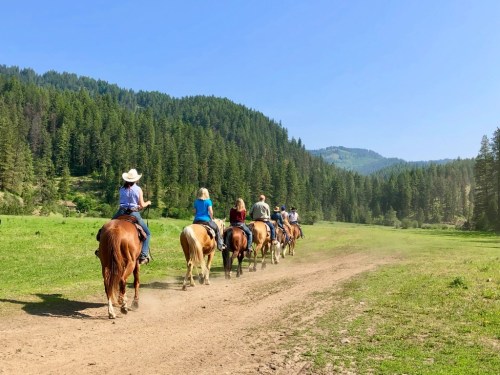 A group of people riding horses along a dirt path in a lush green landscape with mountains in the background.