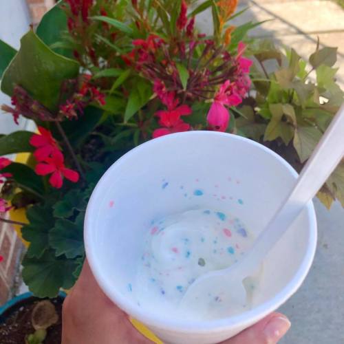 A hand holding a cup of colorful ice cream with a spoon, surrounded by vibrant flowers and greenery.