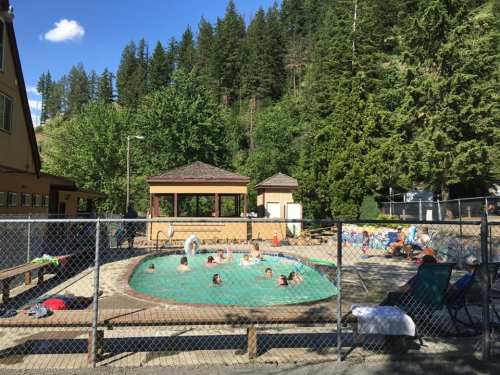 A fenced pool area surrounded by trees, with people swimming and lounging on chairs under a clear blue sky.