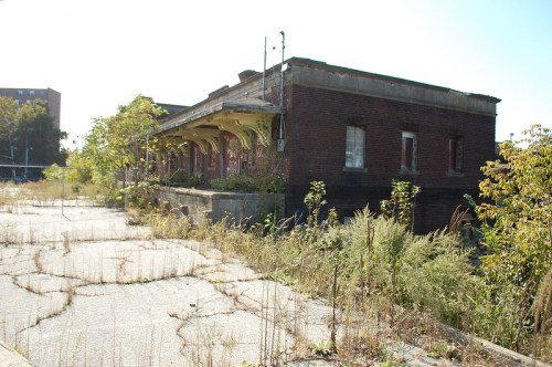 Abandoned building with overgrown vegetation and cracked pavement, bathed in sunlight.