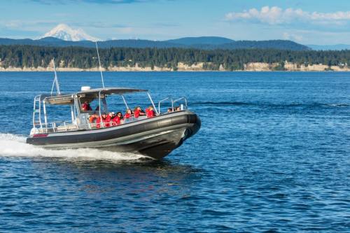 A speedboat with passengers in red jackets navigates blue waters, with mountains in the background under a clear sky.