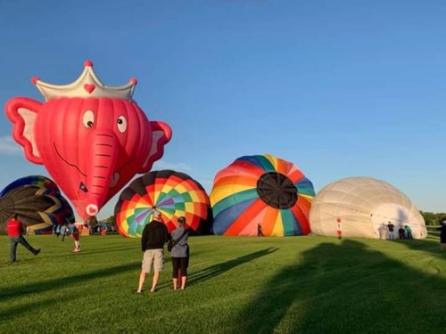 Colorful hot air balloons, including a large elephant-shaped one, inflate on a grassy field under a clear blue sky.