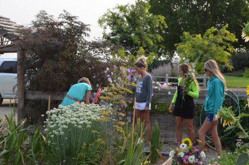 Four women are tending to a vibrant garden filled with flowers and greenery on a sunny day.
