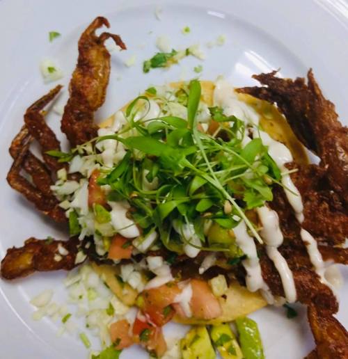 A plate featuring a crispy soft-shell crab taco topped with fresh salsa, microgreens, and drizzled with sauce.