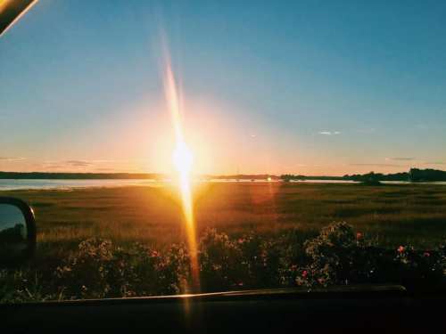 Sunset over a tranquil landscape, with golden light reflecting on water and lush greenery in the foreground.