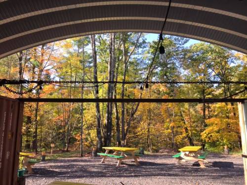 View of a forest with colorful autumn leaves, featuring picnic tables under a large arching structure.