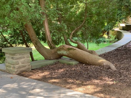 A twisted tree trunk rests against a stone pillar, surrounded by mulch and green grass in a landscaped area.