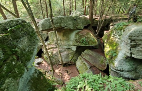 A rocky landscape with large boulders, surrounded by lush green trees and ferns in a forest setting.