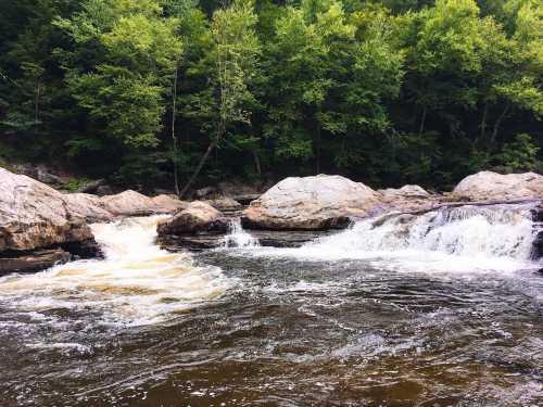 A serene river flows over rocks, surrounded by lush green trees in a peaceful natural setting.