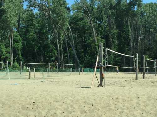 A sandy beach volleyball court surrounded by trees on a sunny day.