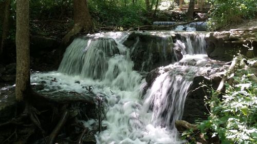 A serene waterfall cascading over rocks, surrounded by lush green trees and foliage.