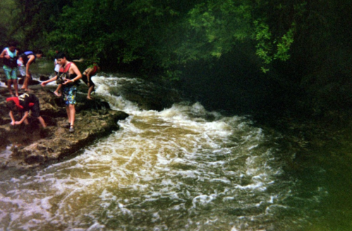 A group of people exploring a rocky riverbank with flowing water and lush greenery in the background.
