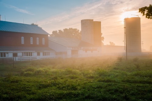 A misty morning at a dairy farm, featuring red barns, silos, and soft sunlight filtering through the fog.