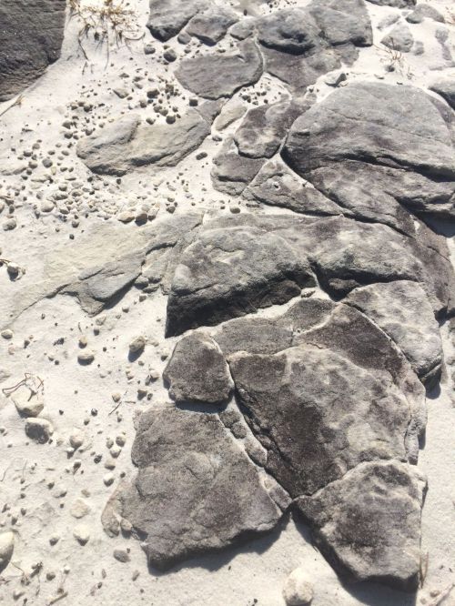 A close-up of textured gray rocks and pebbles scattered on a sandy surface.