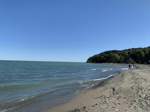 A serene beach scene with calm water, a clear blue sky, and a distant shoreline lined with trees.