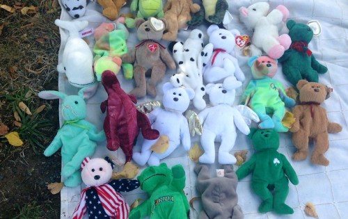 A variety of colorful stuffed animals and teddy bears arranged on a white blanket, surrounded by fallen leaves.