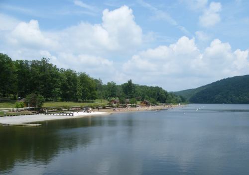 A serene lake scene with sandy beach, green trees, and cloudy blue sky, inviting relaxation and outdoor activities.