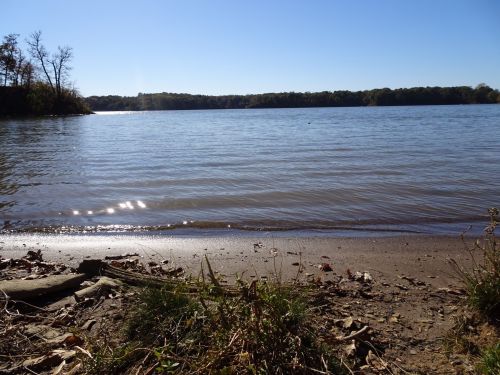 A serene lakeside view with calm water, sandy shore, and trees in the background under a clear blue sky.