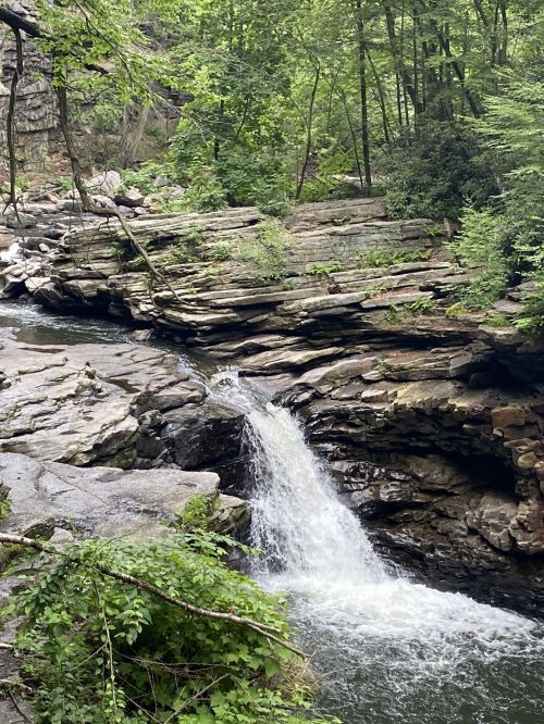 A serene waterfall cascades over rocky terrain, surrounded by lush green trees and foliage.
