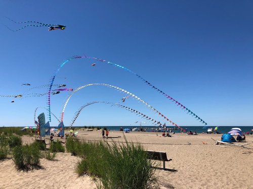 Colorful kites flying over a sandy beach with people relaxing and enjoying the sunny day by the water.