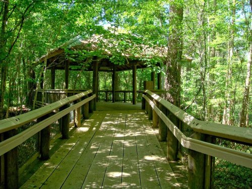 A wooden walkway leads to a gazebo surrounded by lush green trees in a serene forest setting.