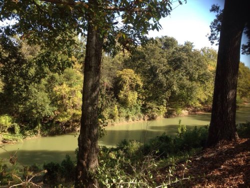 A serene river flows through a lush, green landscape, framed by trees on either side under a clear blue sky.