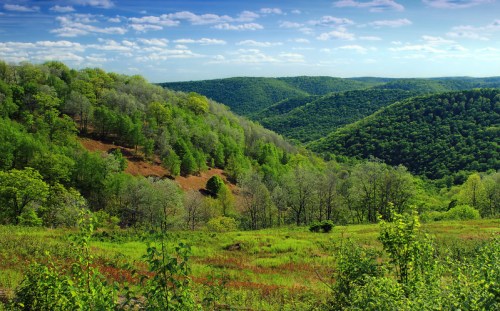 Lush green hills under a blue sky with scattered clouds, showcasing a vibrant landscape of trees and valleys.