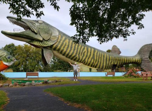 A person stands beside a giant fish statue in a park, surrounded by trees and benches.