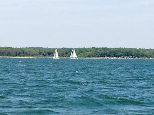 Two sailboats glide across a blue lake, with a green shoreline in the background under a clear sky.
