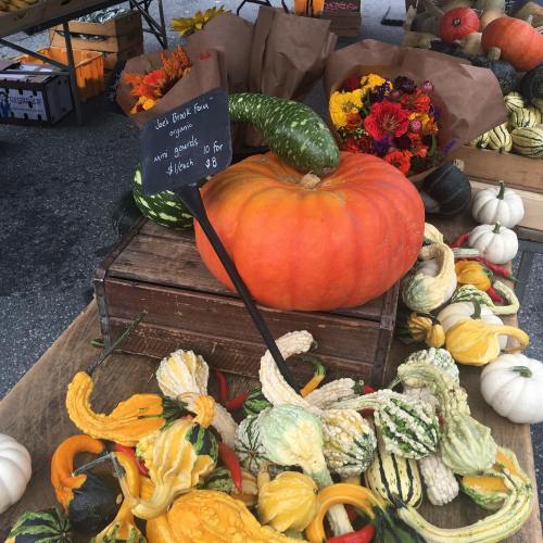 A vibrant display of pumpkins and gourds at a market, with flowers and a sign indicating prices.