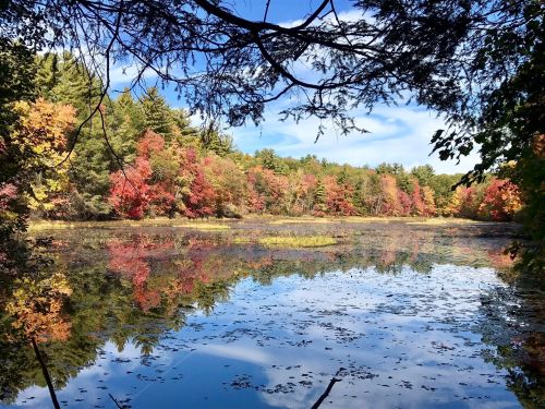 A serene lake surrounded by vibrant autumn foliage reflecting in the water under a clear blue sky.
