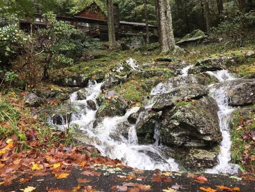 A serene scene of a flowing stream over rocks, surrounded by lush greenery and autumn leaves, with a cabin in the background.