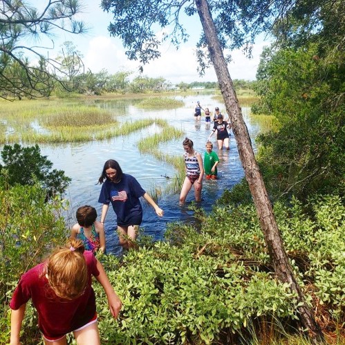 A group of children wading through shallow water in a natural setting, surrounded by greenery and trees.