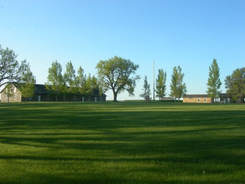 A grassy field with trees and buildings under a clear blue sky, casting long shadows in the late afternoon light.
