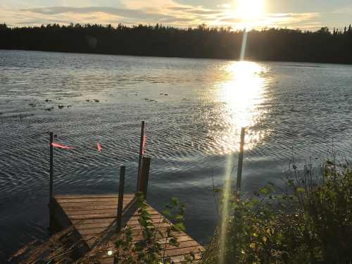 A wooden dock extends into a calm lake, reflecting the sunset and surrounded by trees and greenery.